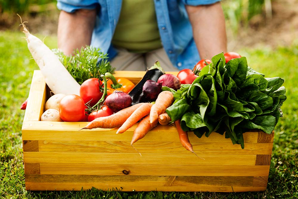 Thực phẩm hữu cơ không phải là thực phẩm “trồng tại nhà”