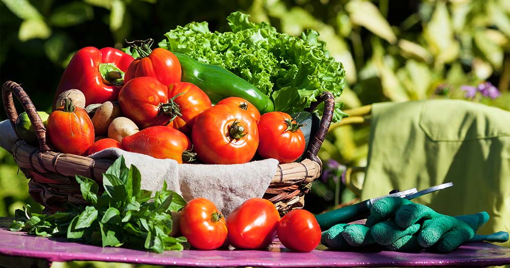 Thực phẩm hữu cơ (Organic) là gì?