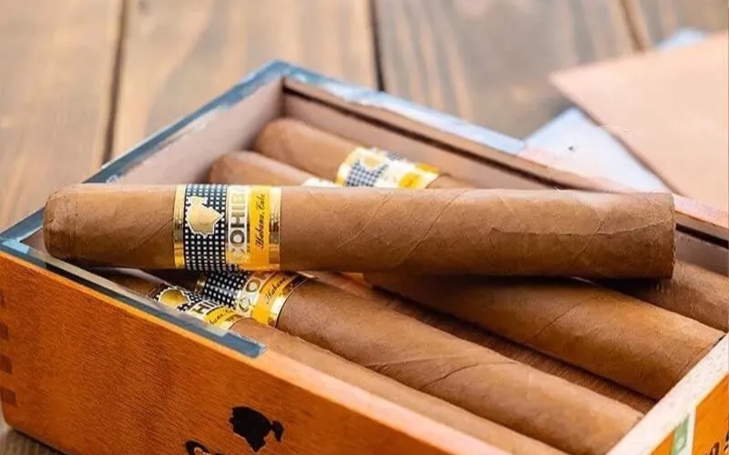 xì gà ngon Cohiba Siglo VI