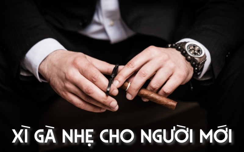 xì gà nhẹ cho người mới