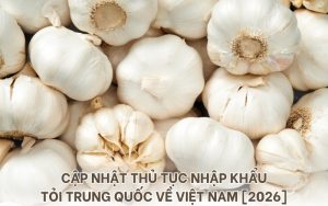 thủ tục nhập khẩu tỏi Trung Quốc
